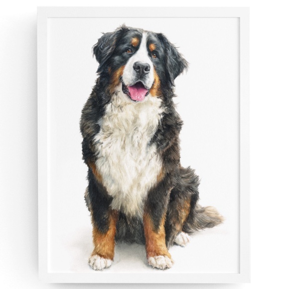 Creative Path Studios Other - Watercolor Bernese Mountain Dog Portrait Print – Unframed Wall Art Poster